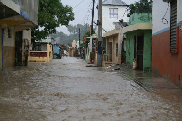 Presa Tavera