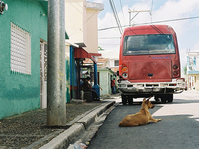 guagua