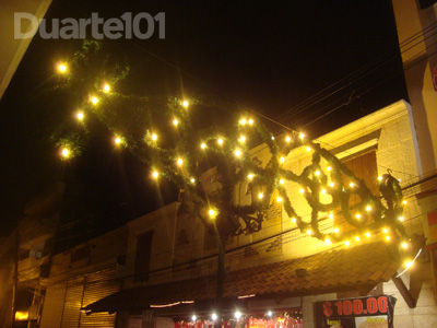 conde-navidad4