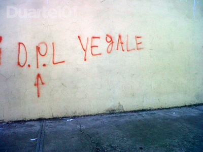 pandilla3