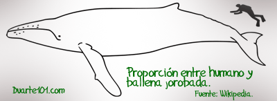Proporción Ballena-Humano