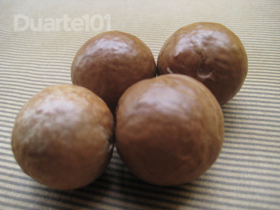 macadamia