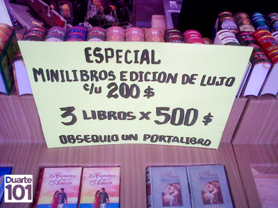 mini-libros5